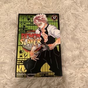 Demon slayer manga, volume 17